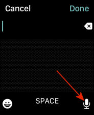 Apple Watch Screen: Tap the microphone icon to begin voice dictation for your message