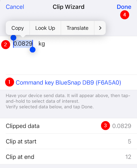 SerialMagic Keys iPhone iPad scale clip wizard strip unwanted characters 