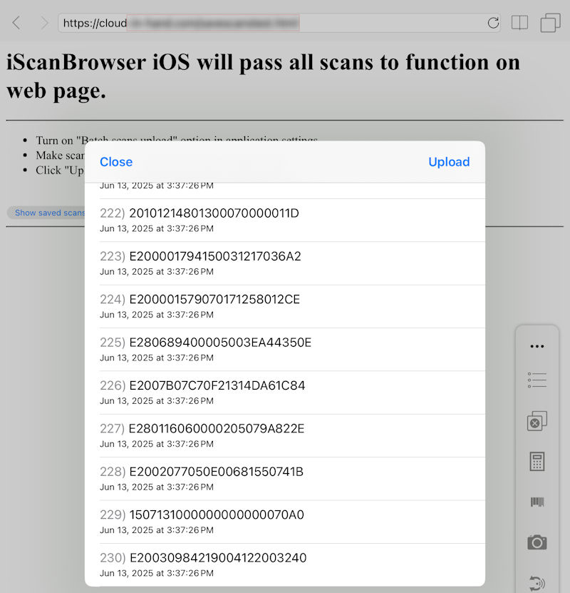 iScanBrowser RFID Web Wedge iPad