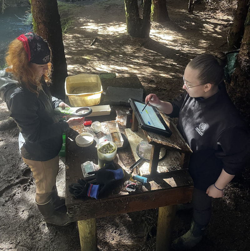 PIT tag scan Survey123 post RFID tag automatically to app form