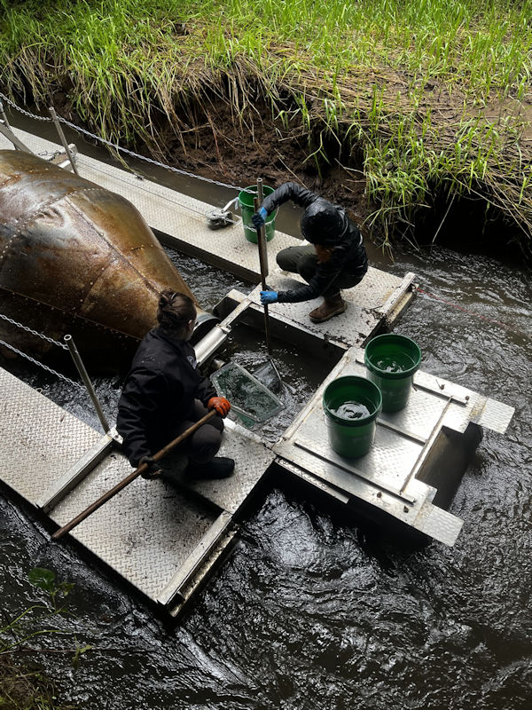 PIT tag scan Survey123 Fishery Biomark HPR Lite PIT Tag Readers 
