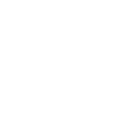 global (2)